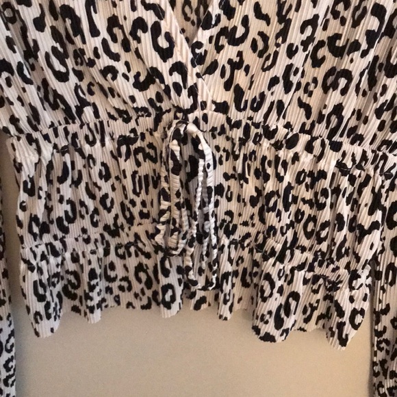 Zara Leopard Blouse - Picture 3 of 6